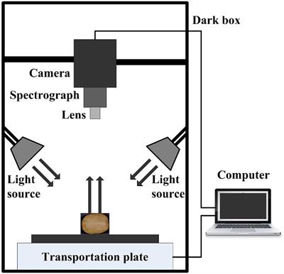 Prediction and visualization map for physicochemical indices of kiwifruits by hyperspectral imaging